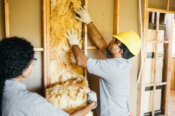 Best Fiberglass Insulation  in Arlington, NY